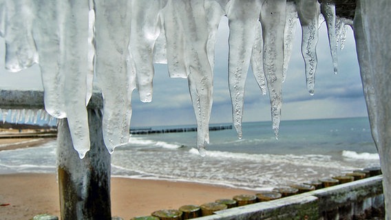 Ein von der Natur geschaffener Vorhang aus Eiszapfen. © NDR Foto: Steve Martin aus Pampow