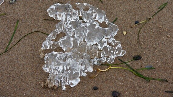 Ein Stück Eis in Form eines Kristalles. © NDR Foto: Peter Schumacher aus Sievershagen
