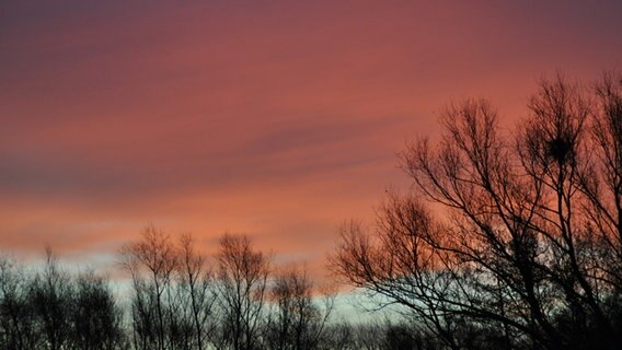 Rote Wolken am Morgen © NDR Foto: Klaus Kanitz aus Rostock