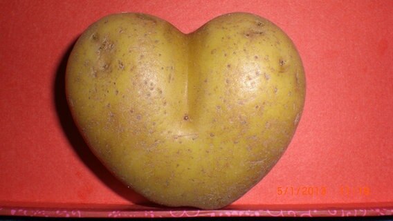 Eine Kartoffel in Form eines Kartoffelherzens © NDR Foto: Sylvia Matthies aus Lalendorf