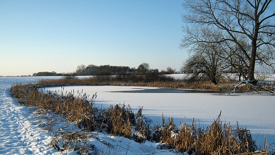 Winterlicher Teich auf einem Feld © NDR Foto: Iris Franke aus Kritzmow