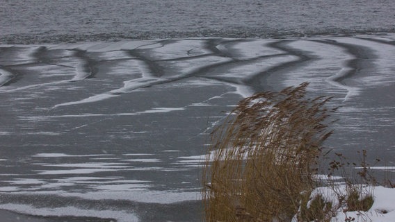 Die Warnow beginnt zuzufrieren. © NDR Foto: Michael Berger aus Rostock