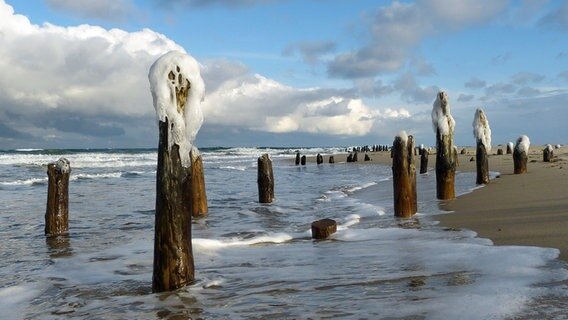Einige Buhnenspitzen tragen Eishauben am Strand beim Rieden © NDR Foto: Norbert Lund aus Kühlungsborn