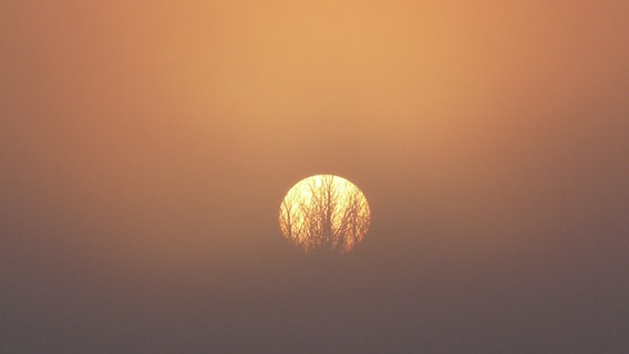 Sonne sticht gleißend durch Nebel © NDR Foto: Andreas Erdt aus Dummerstorf
