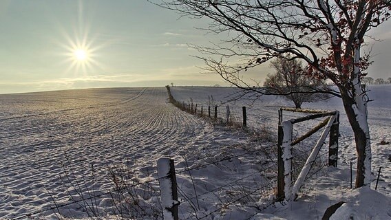 Strahlender Wintermorgen © NDR Foto: Jürgen Evert aus Güstrow