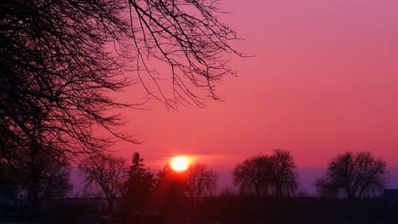 Sonnenuntergang in Rot- und Lilatönen © NDR Foto: Andreas Erdt aus Dummerstorf