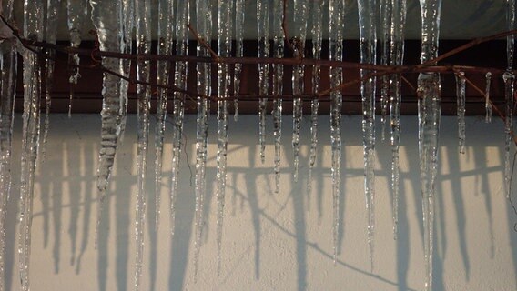 Eiszapfen an einer Regenrinne © NDR Foto: Karin Buss aus Rühn