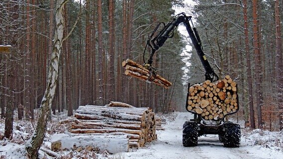 Ein LKW lädt Holz im Wald auf © NDR Foto:  Dr. Lothar Verch aus Rostock