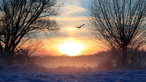 Warnowwiese mit Schnee und Eis bedeckt während eines Sonnenuntergangs © NDR Foto: Chris und Sascha Burmeister aus Bützow