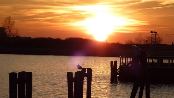 Sonnenuntergang im Reriker Hafen © NDR Foto: Marika Kahle aus Rerik