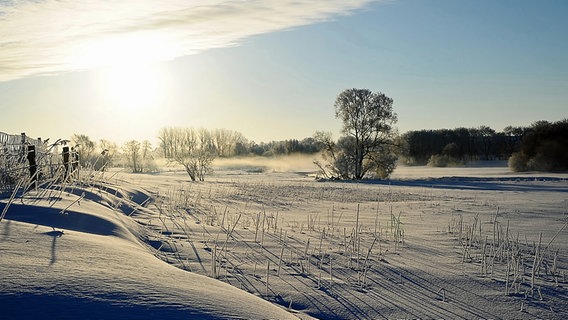 Schnee wirbelt über einem Feld auf. © NDR Foto: Inka Schultz aus Gnoien