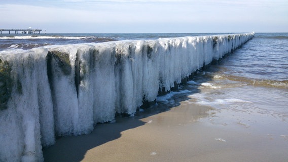 Eine Reihe Buhnen ist in Graal Müritz voller Eis © NDR Foto: Tom Hantel aus Rostock