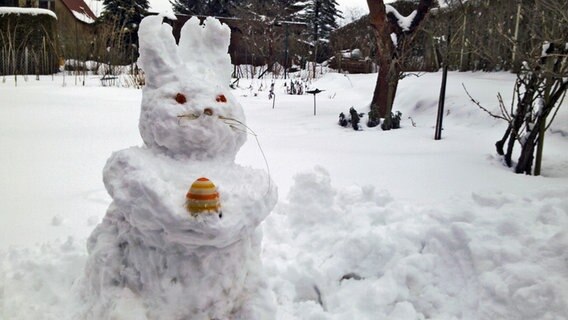 Ein Osterschneehase hält ein Osterei in den Pfoten. © NDR Foto: Waltraud Zirzow aus Rostock