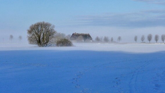 Eine verschneite Landschaft nahe Rostock. © NDR Foto: Dietmar Marquardt aus Rostock