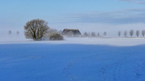 Eine verschneite Landschaft nahe Rostock. © NDR Foto: Dietmar Marquardt aus Rostock