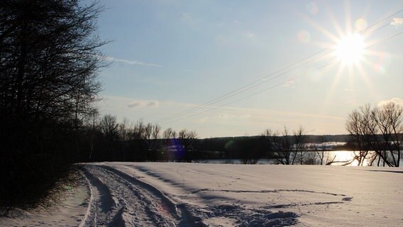Blick auf eine verschneite Landschaft. © NDR Foto: Ute Koschmider aus Bützow