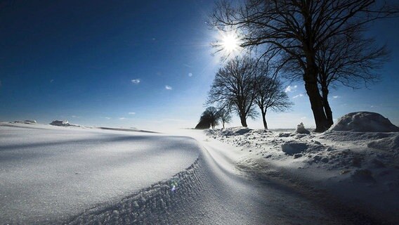 Sonne scheint auf die Winterlandschaft © NDR Foto: Frank Hojenski aus Rostock