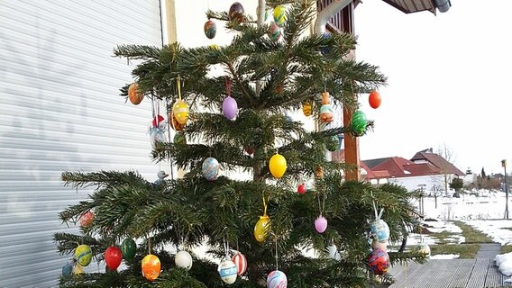 Aus dem Weihnachts- ist ein Osterbaum geworden © NDR Foto: Karin Költzsch aus Rostock
