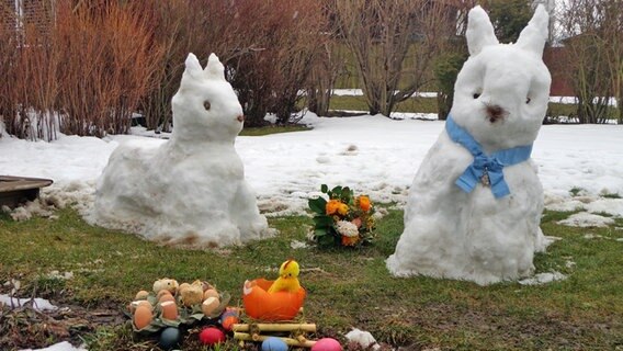 Osterschneehasen im Garten © NDR Foto: Kerstin Koch-Woest aus Nienhagen