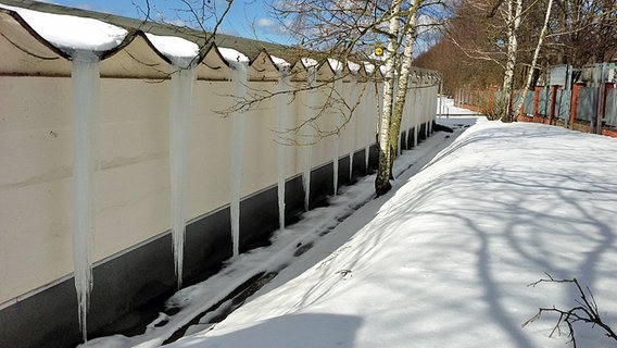 Riesige Eiszapfen an einer Mauer © NDR Foto: Martina Schmarbeck aus Rostock