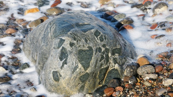Ein interessanter Stein am Strand © NDR Foto: Peter Schumacher aus Sievershagen