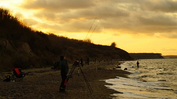 Angler stehen am Strand © NDR Foto: Peter Schumacher aus Sievershagen bei Rostock