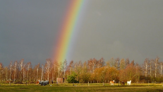 Regenbogen über dem Fohlenhof Biestow © NDR Foto: Wolfgang Schneider aus Rostock