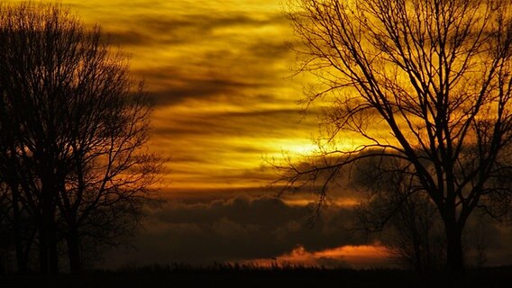 Orange leuchtende Sonne hinter dunklen Wolken © NDR Foto: Peter Schumacher aus Sievershagen