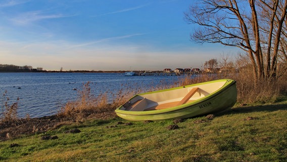 Ein Boot liegt am Ufer. © NDR Foto: Günther Janausch aus Kröpelin