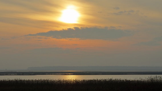 Sonnenaufgang über dem Bodden © NDR Foto: Sven Johnsen aus Rostock