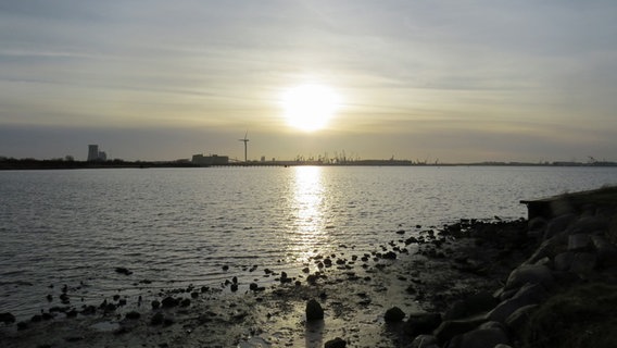 Die Sonne geht unter über dem Schnatermann in Rostock. © NDR Foto: Sven Johnsen aus Rostock