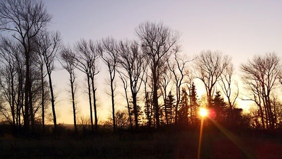 Sonnenuntergang in Kühlungsborn © NDR Foto: Ute Einsporn aus Burgdorf