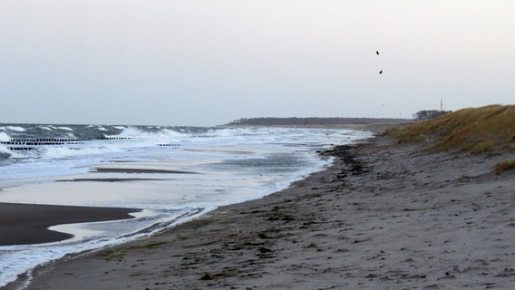 Strand von Markgrafenheide © NDR Foto: Sven Johnsen aus Rostock