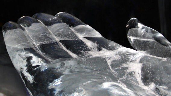 Hand aus Eis © NDR Foto: Eckhard Wolfgramm aus Salow