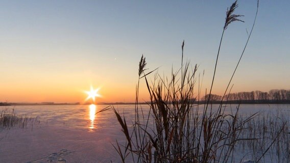 Sonne über einem vereisten See © NDR Foto: Jürgen Evert aus Güstrow