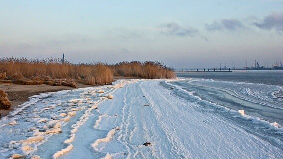 gefrorenes Ostufer der Warnow bei Rostock-Schmarl © NDR Foto: Michael Berger aus Rostock