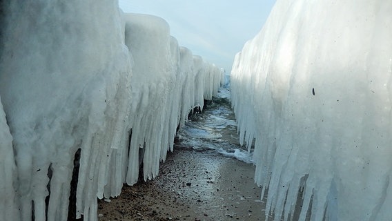 Die Buhnen am Strand von Kühlungsborn sind mit Eis überzogen. © NDR Foto: Erna Gottschalk aus Neubukow