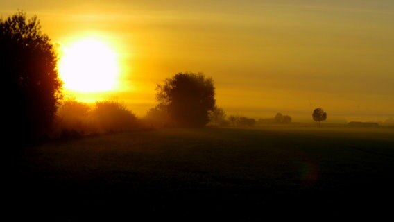 Sonnenaufgang über einem Feld. © NDR Foto: Sven Johnssen aus Rostock