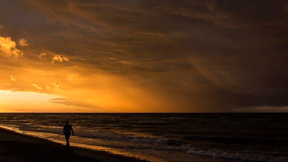 Ein Mann geht am Ostseestrand entlang © NDR Foto: Thomas Hausrath aus Rostock