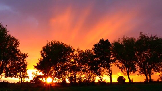 Sonnenuntergang hinter Bäumen © NDR Foto: Eva Karow aus Dudendorf