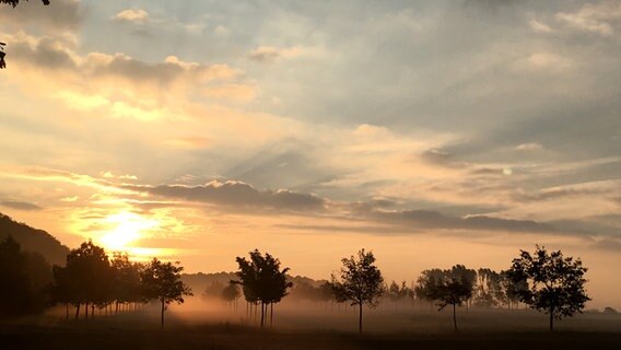 Sonnenaufgang über einer Landschaft © NDR Foto: Birthe Schmerbauch aus Bad Doberan