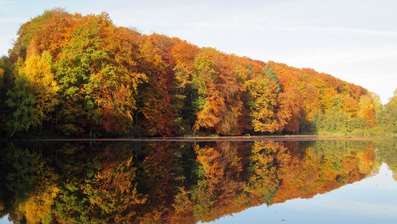 Herbstfarben an einem See © NDR Foto: Jürgen Nagorsnick aus Tempzin