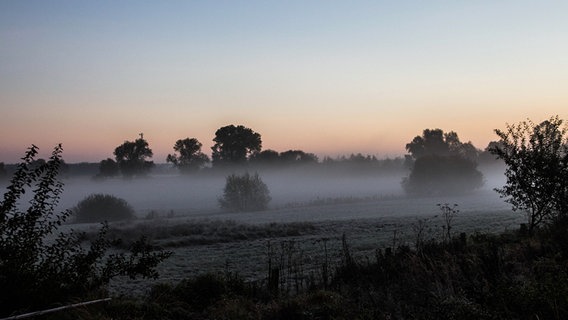 Nebel über einer Wiese © NDR Foto: Yvonne Kaehler aus Güstrow