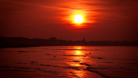 Roter Sonnenuntergang © NDR Foto: Yvonne Kaehler aus Güstrow