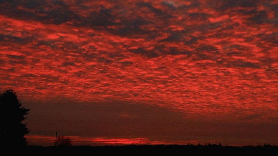 Sonnenaufgang nahe Graal-Müritz © NDR Foto: Bringfried Eisermann aus Bentwisch
