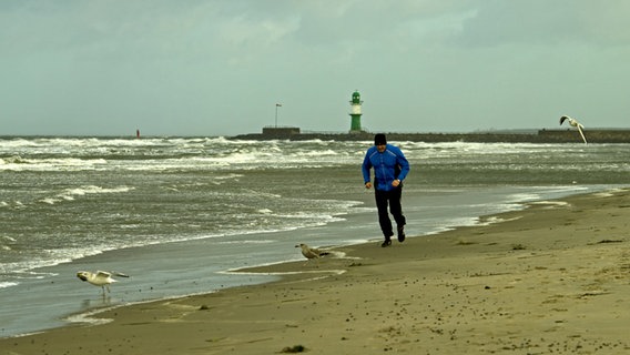 Mann läuft im Wind am Strand von Warnemünde © NDR Foto: Peter Schumacher aus Sievershagen
