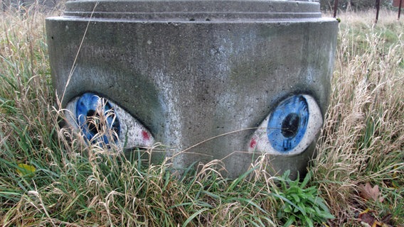Ein Graffiti in Form von Augen auf Beton. © NDR Foto: Jürgen Nagorsnick aus Tempzin