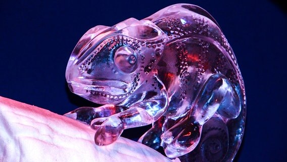 Ein Chamäleon als Eisskulptur. © NDR Foto: Yvonne Kaehler aus Güstrow