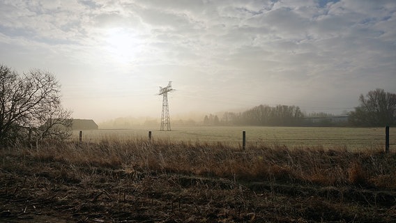 Blick über eine Koppel © NDR Foto: Erika Wenzel aus Bad Doberan