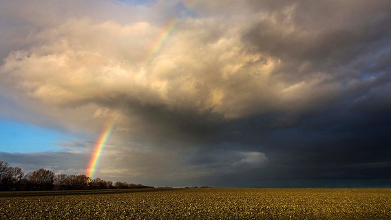 Regenbogen über einem Feld © NDR Foto: Thomas Hausrath und Marcel Guth aus Rostock